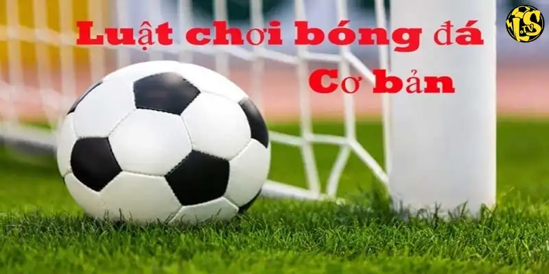 Hình ảnh minh họa Luật chơi cơ bản của bóng đá